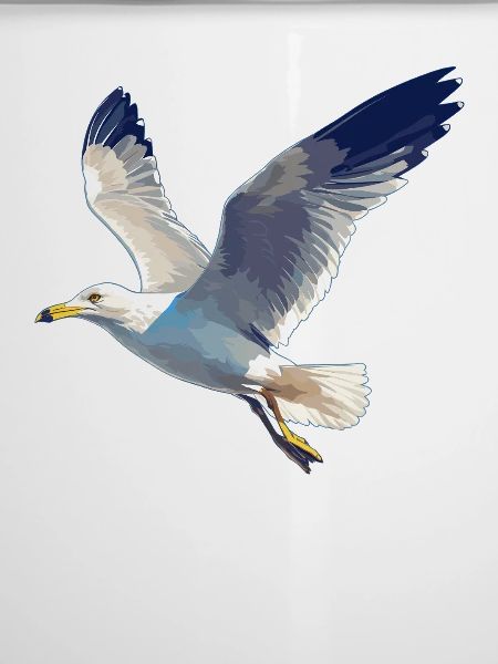 Möwen Möwe