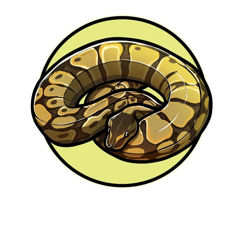 Ball Python Roi Python Roi Python