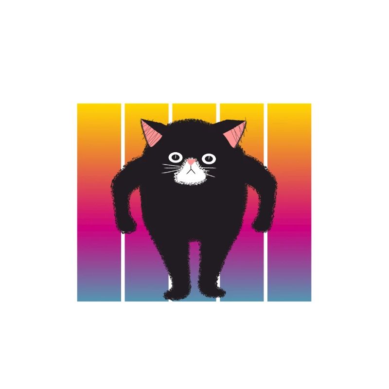 Staring Cat - Cats Staring