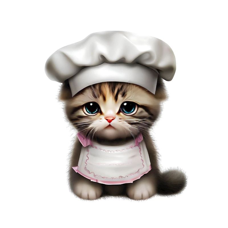 Chefkoch Katze