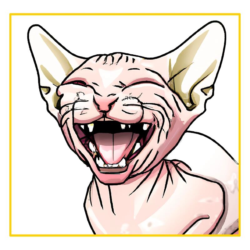 Le chat Sphynx rit