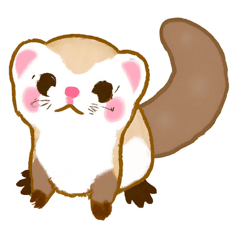 Frettchen