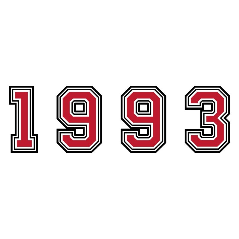 1993 year number