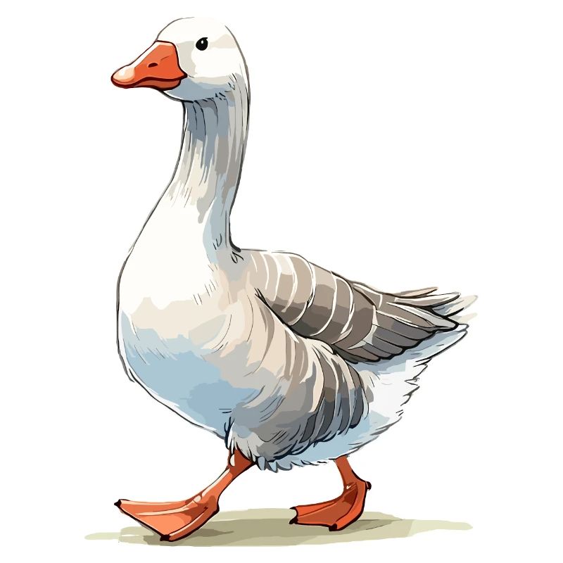 Cool Goose