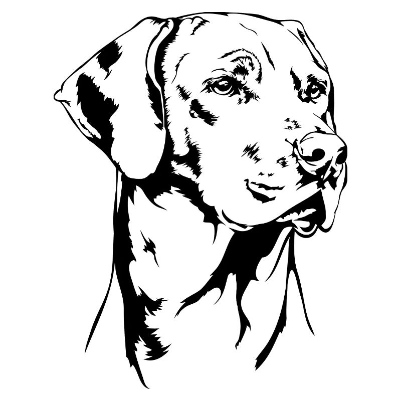 RHODESIAN RIDGEBACK Portrait de chien RR Wilsigns