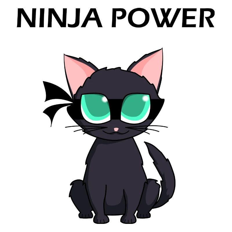 Ninja Warrior - Ninja Power