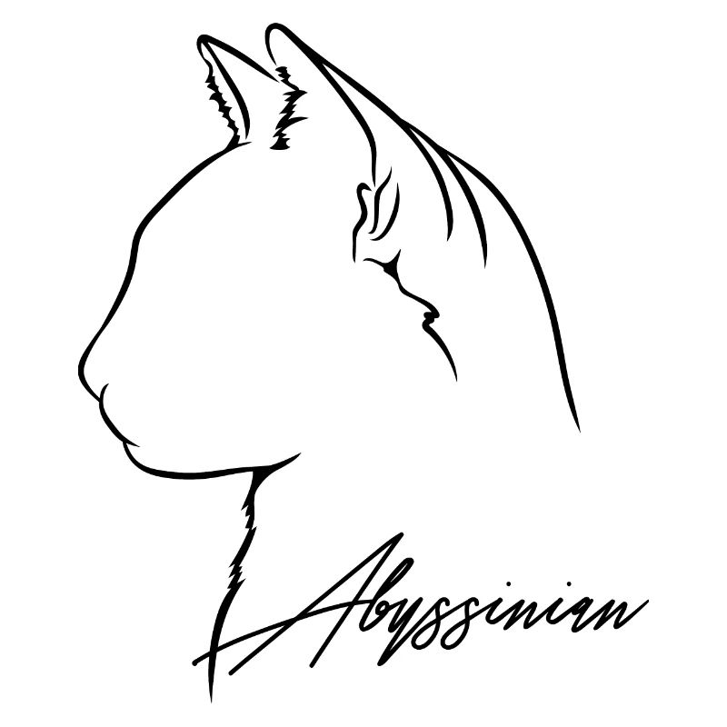 Abyssinian Profil Katzen Katze Wilsigns