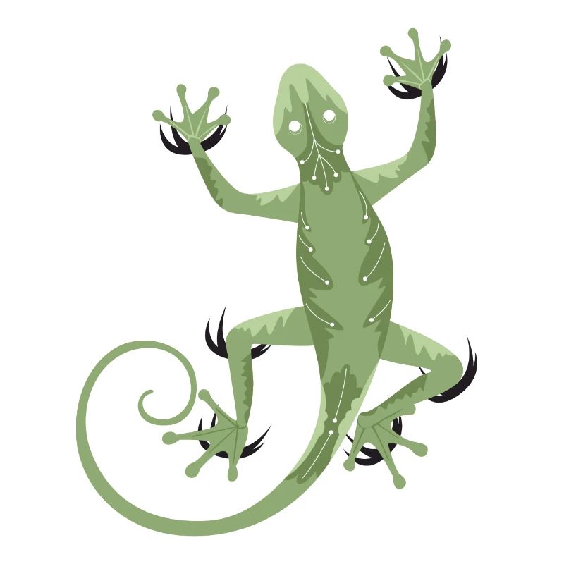 3D Gecko