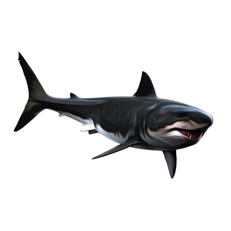 Shark