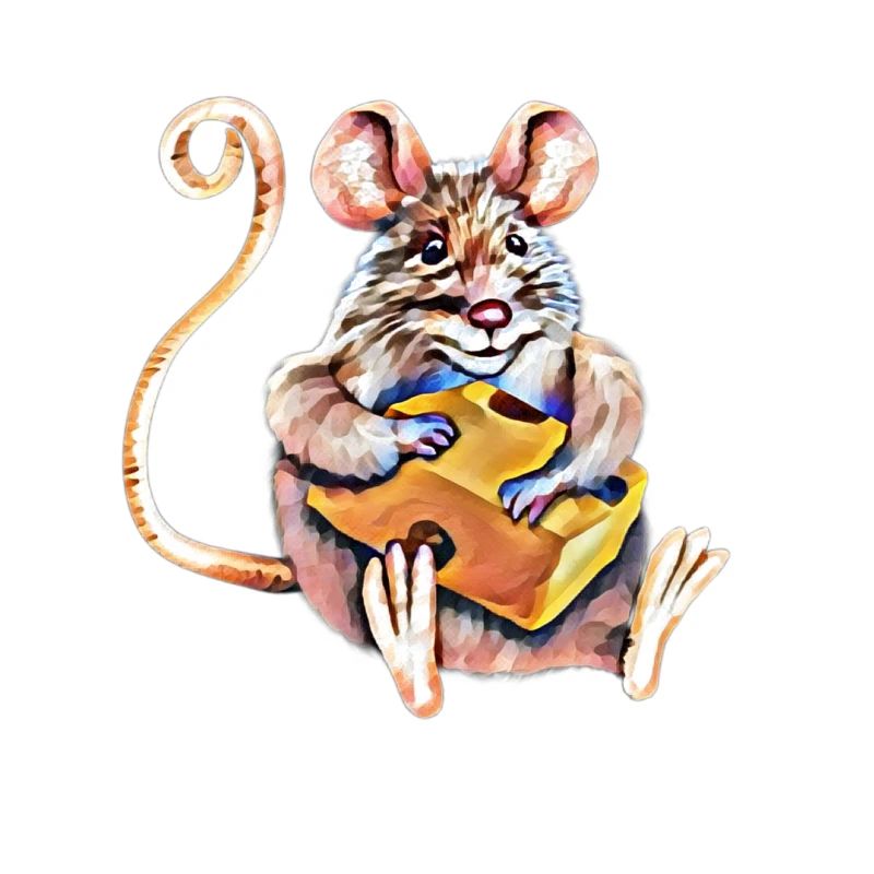 mouse