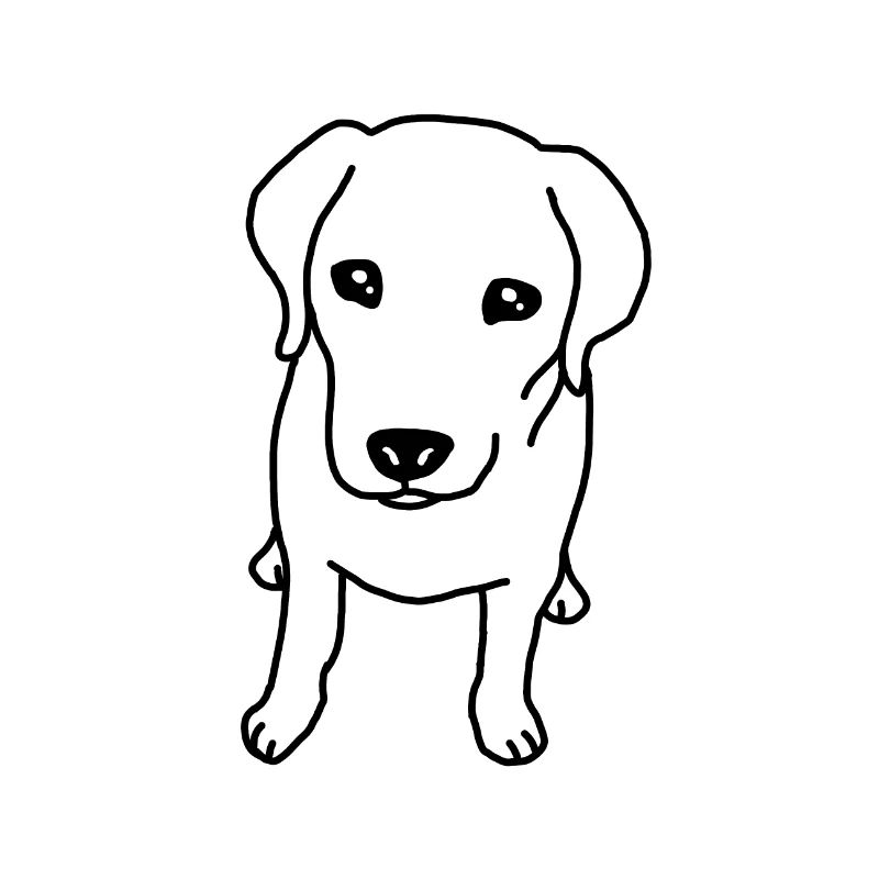 Labrador