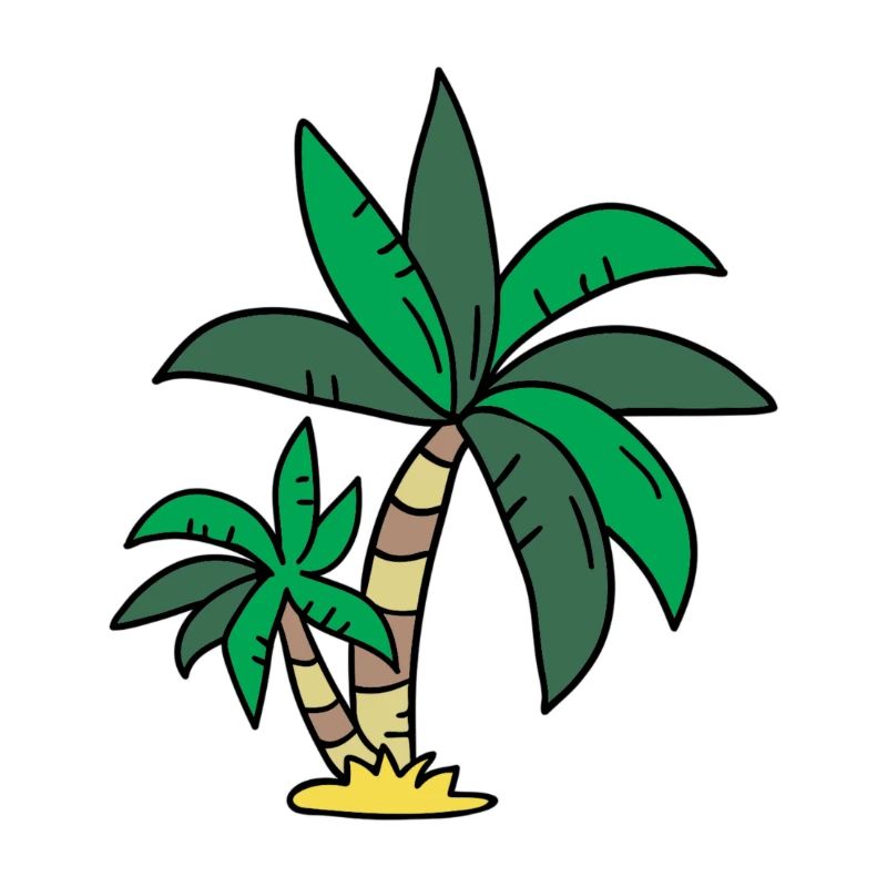 Palm tree
