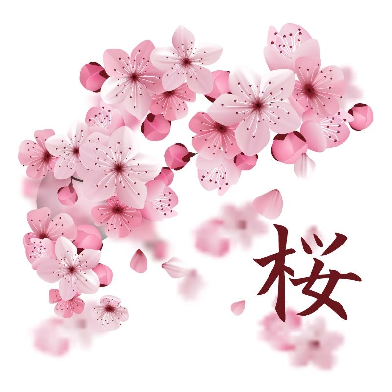 Japanese Cherry Blossoms - Sakura
