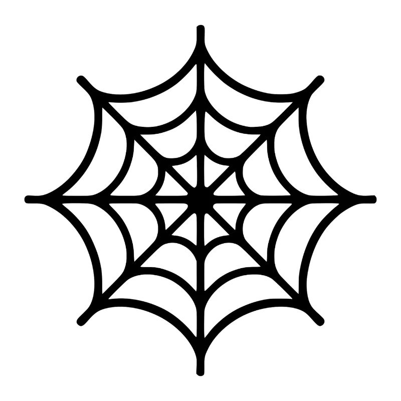 Spider Web Spider