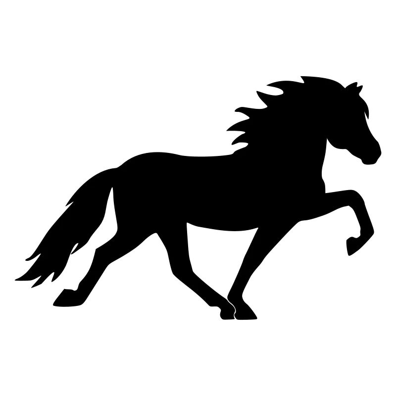 Isländer