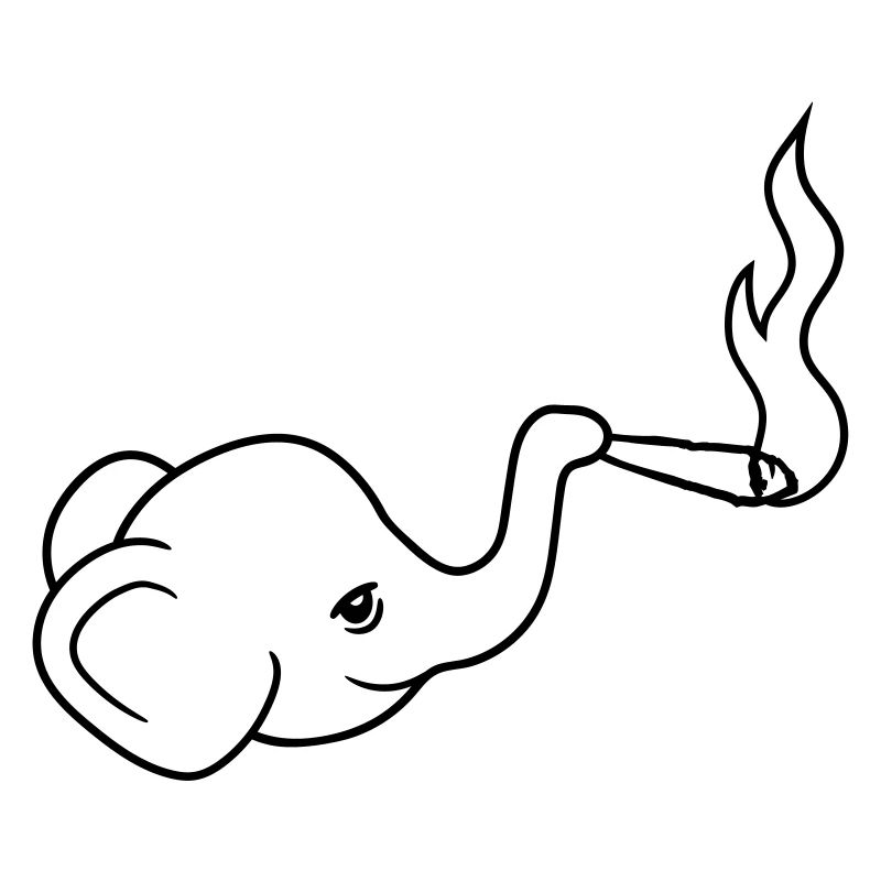 tête d'éléphant kiffen joint lapidé mauvaise herbe ca