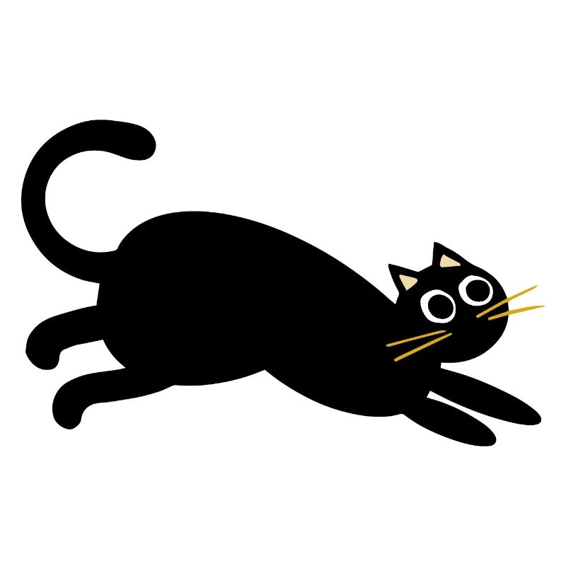 chat courant noir