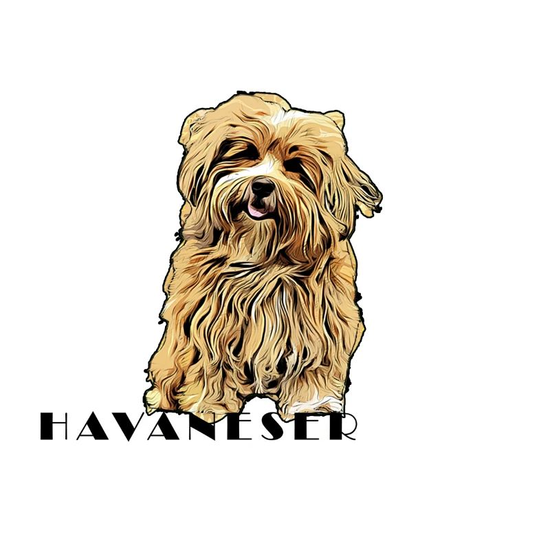 Havaneser Comic Text2