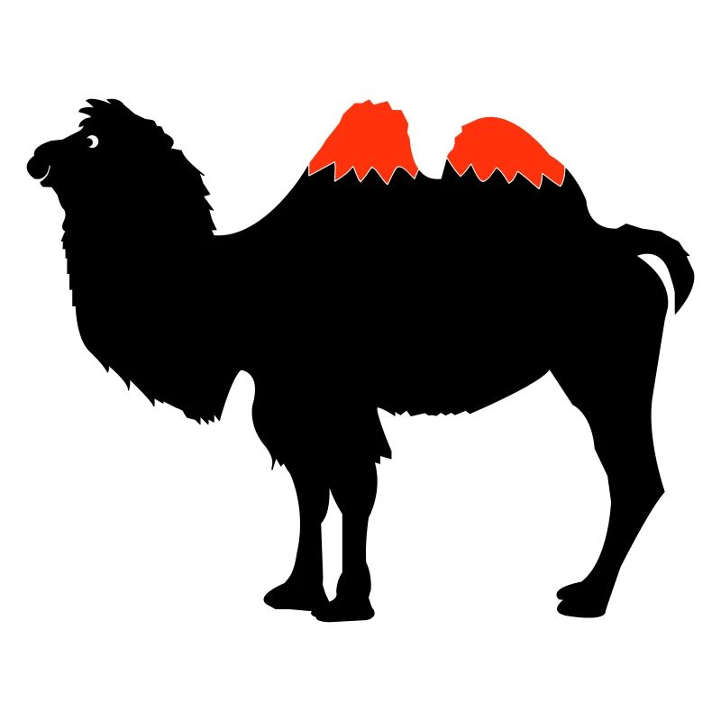 Camel Silhouette