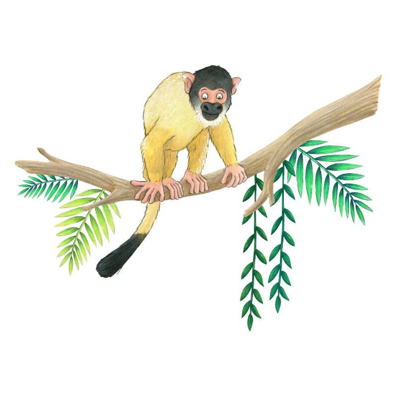 little monkey