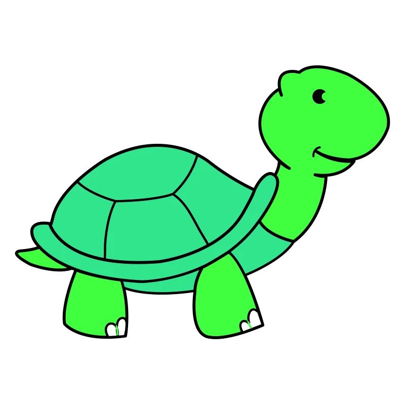 turtle