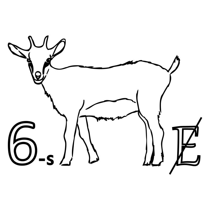 6zig