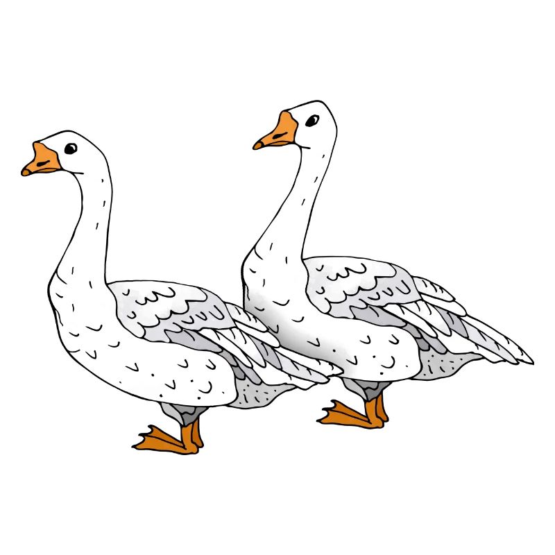 Gänse