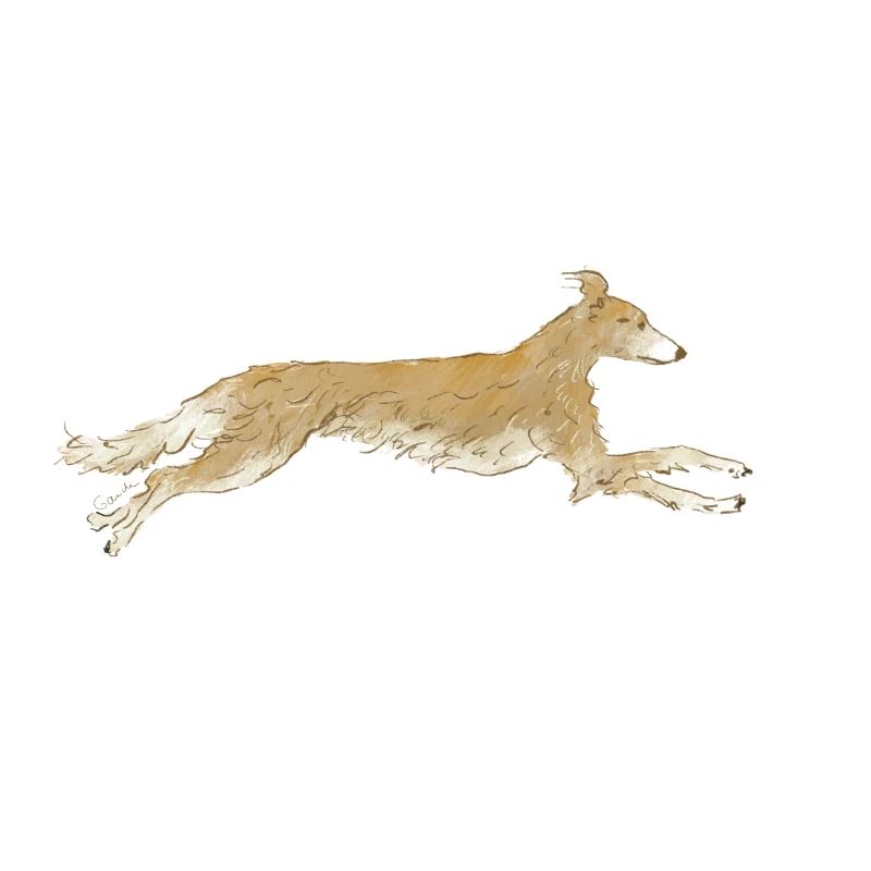Silken Wind Sprite