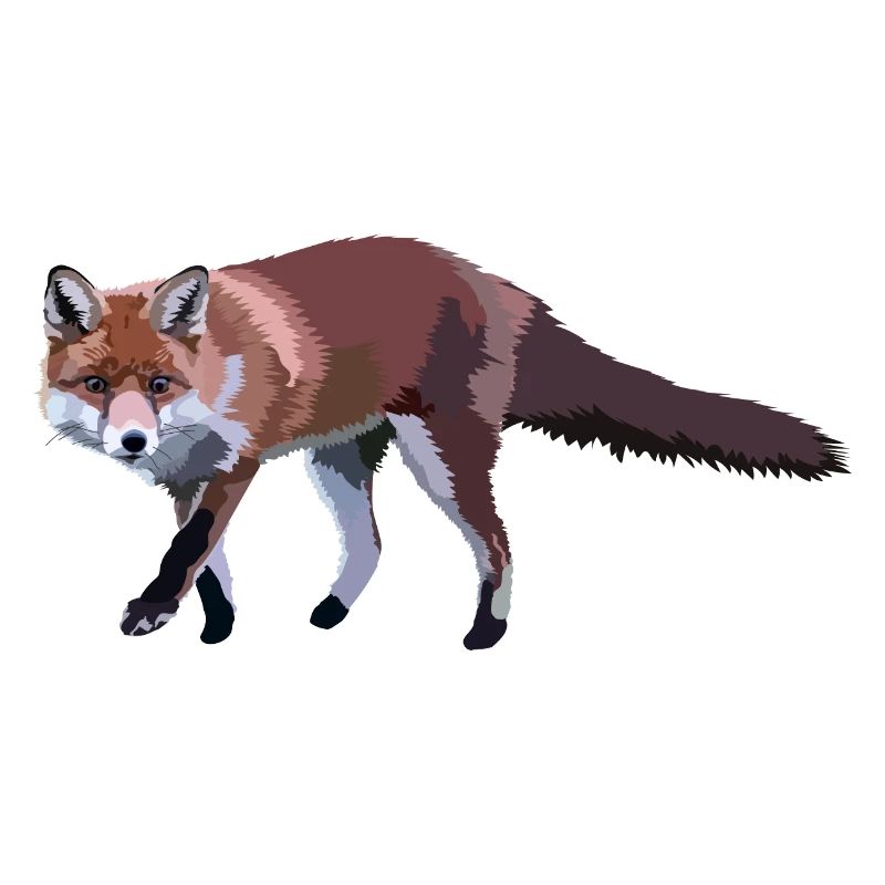 Fuchs
