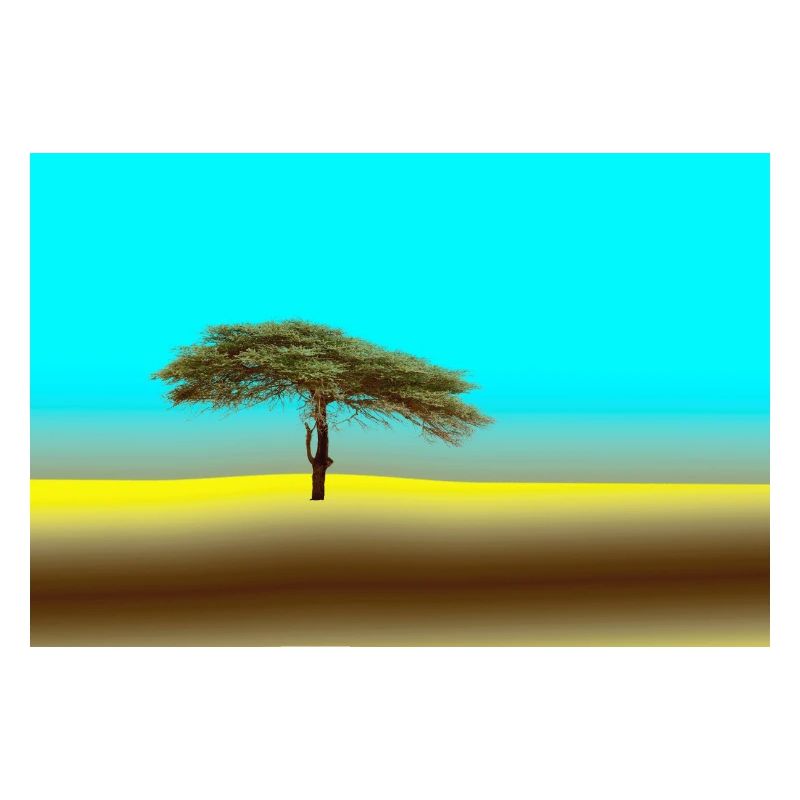 Arbre dans le Sahara