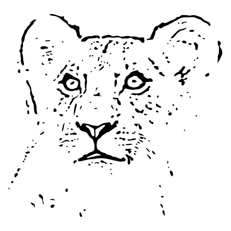 Lion Cub