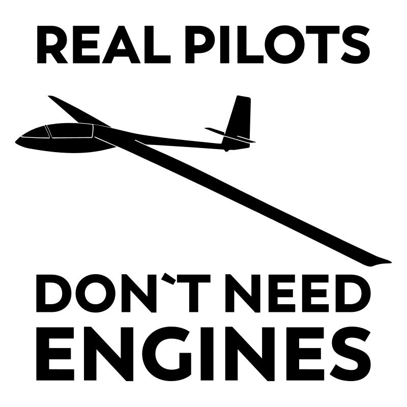 Real pilot glider funny gliding gliding