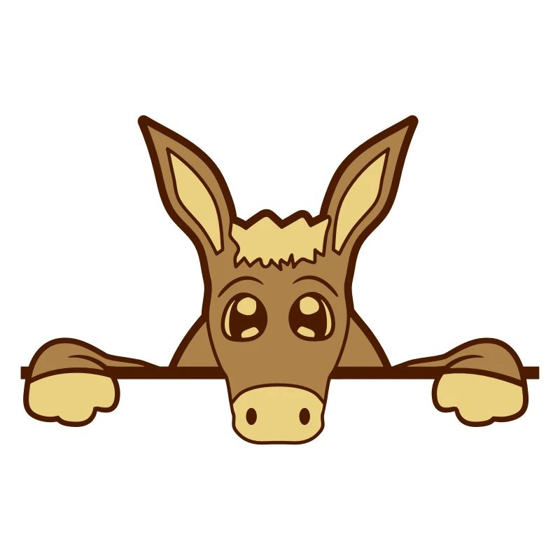 wall wall half text field area write small