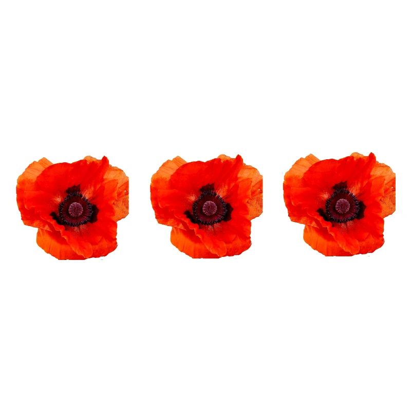 Mohn