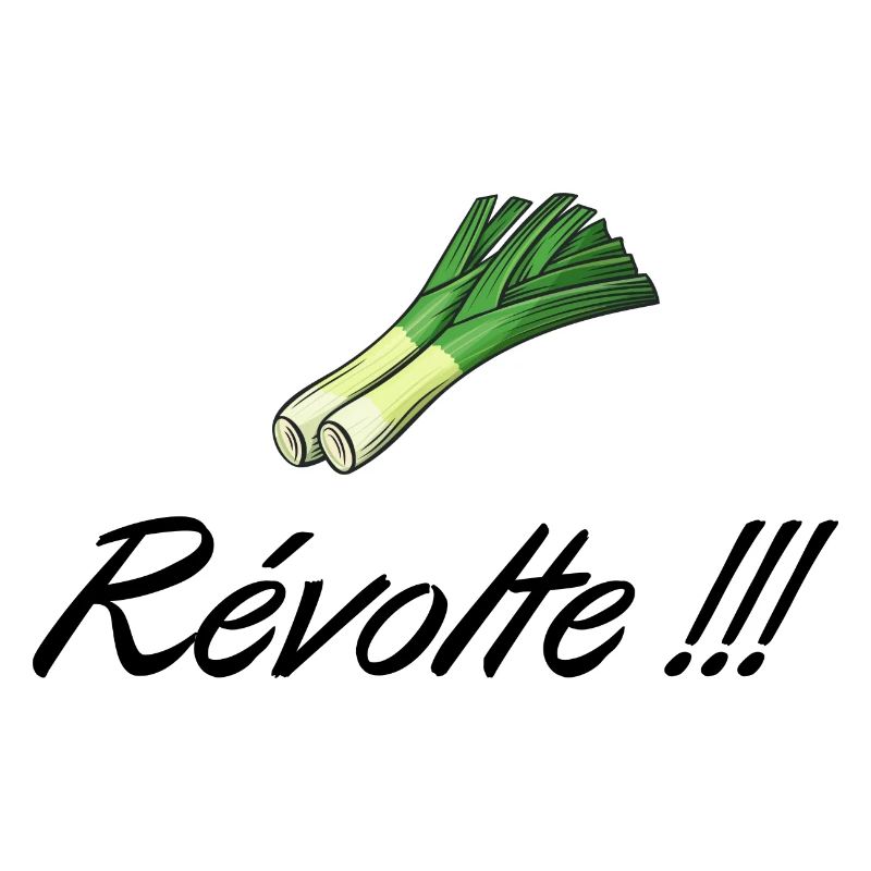 Révolte Kamelott