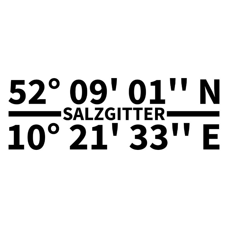 Salzgitter coordinates
