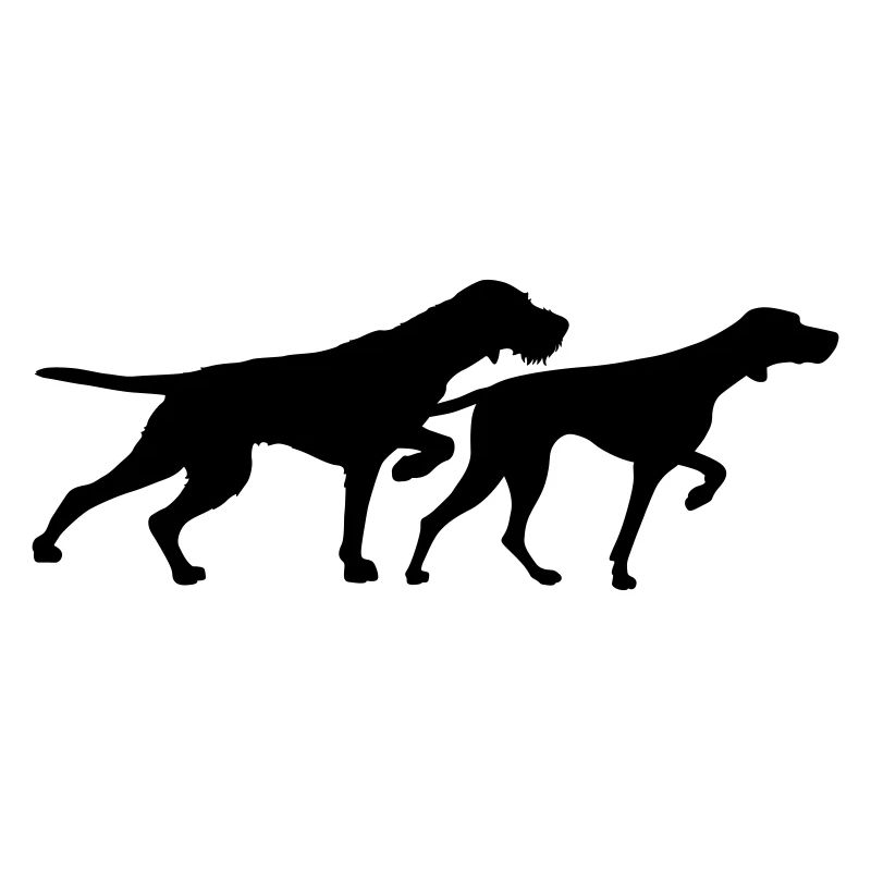 Ungarisch Drahthaar - Ungarisch Kurzhaar