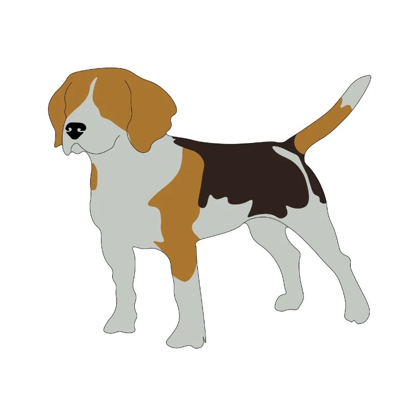 beagle