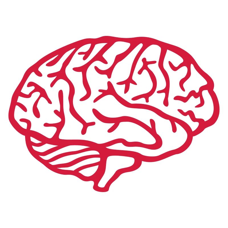 Brain