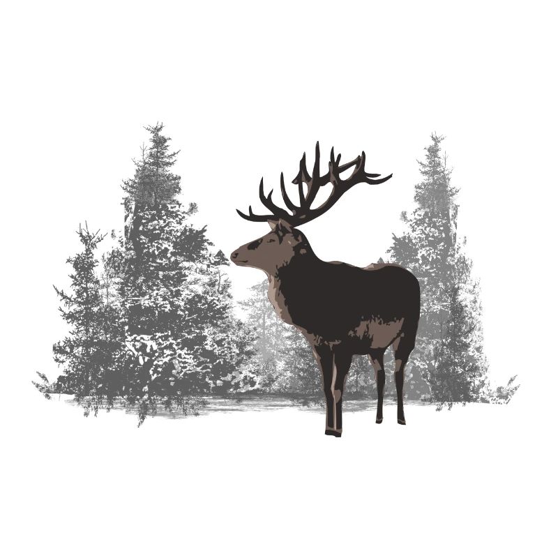 Hirsch - Rotwild - Geweih - Jagd