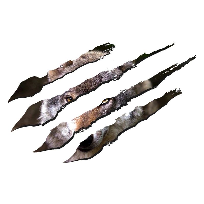 Wolf scratch marks claws wild