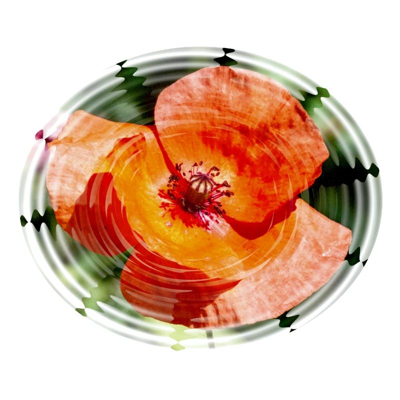 Mohnblüte