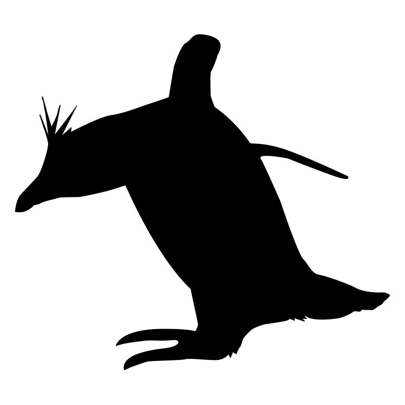 Rock Hopper Penguin