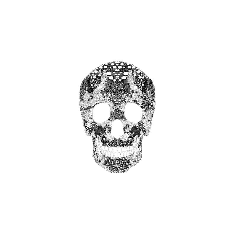 Santa Maria skull