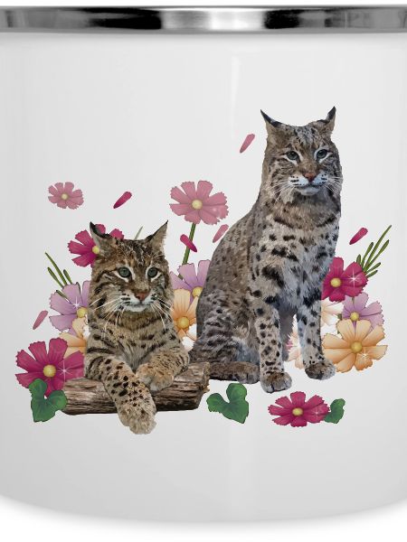 Luchs