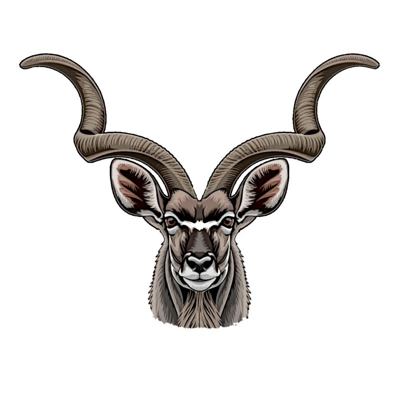 kudu antilope