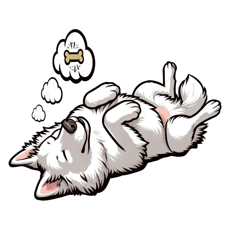 Weißer Schäferhund Schäferhund Schäferhunde