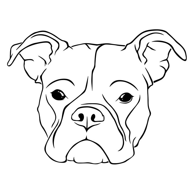 Bulldog