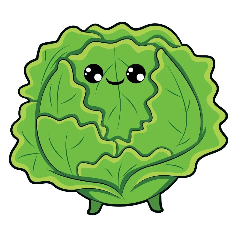 Cabbage
