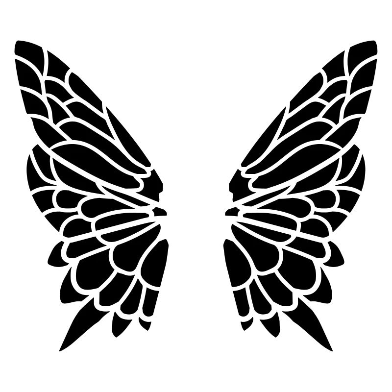Wing from the butterfly